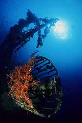 Wrack der Cedar Pride - Aqaba - Jordanien - Rotes Meer - (c) Armin Trutnau