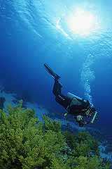Unterwasserfotograf auf Motivsuche - Aqaba - Jordanien - (c) Armin Trutnau