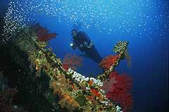 Wrack der Aida - Brothers Islands - Rotes Meer - (c) Armin Trutnau