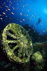 Eisenbahnwrack - Brothers Islands - Rotes Meer - (c) Armin Trutnau